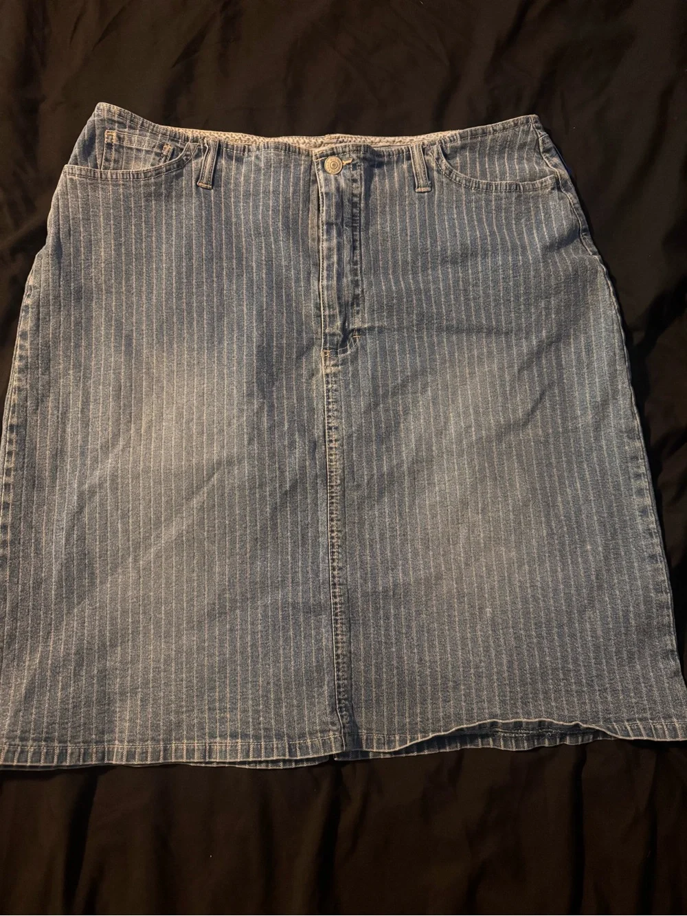 Gloria Vanderbilt Light Blue Pinstripe Denim A-Line Skirt